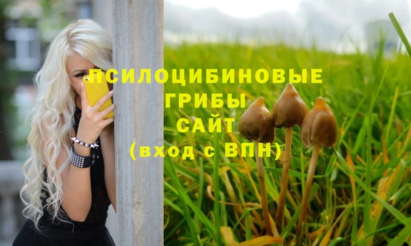 прущие грибы Киреевск