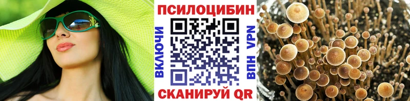 Псилоцибиновые грибы Cubensis  блэк спрут   Нерехта 